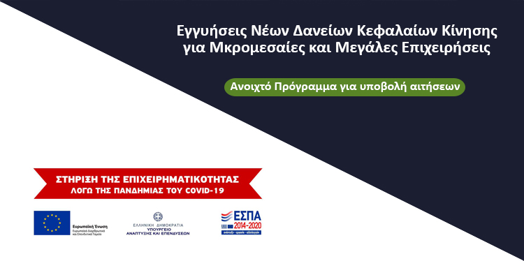 Εγγυήσεις νέων δάνειων κεφαλαίων κίνησης για μικρομεσαίες και μεγάλες επιχειρήσεις 